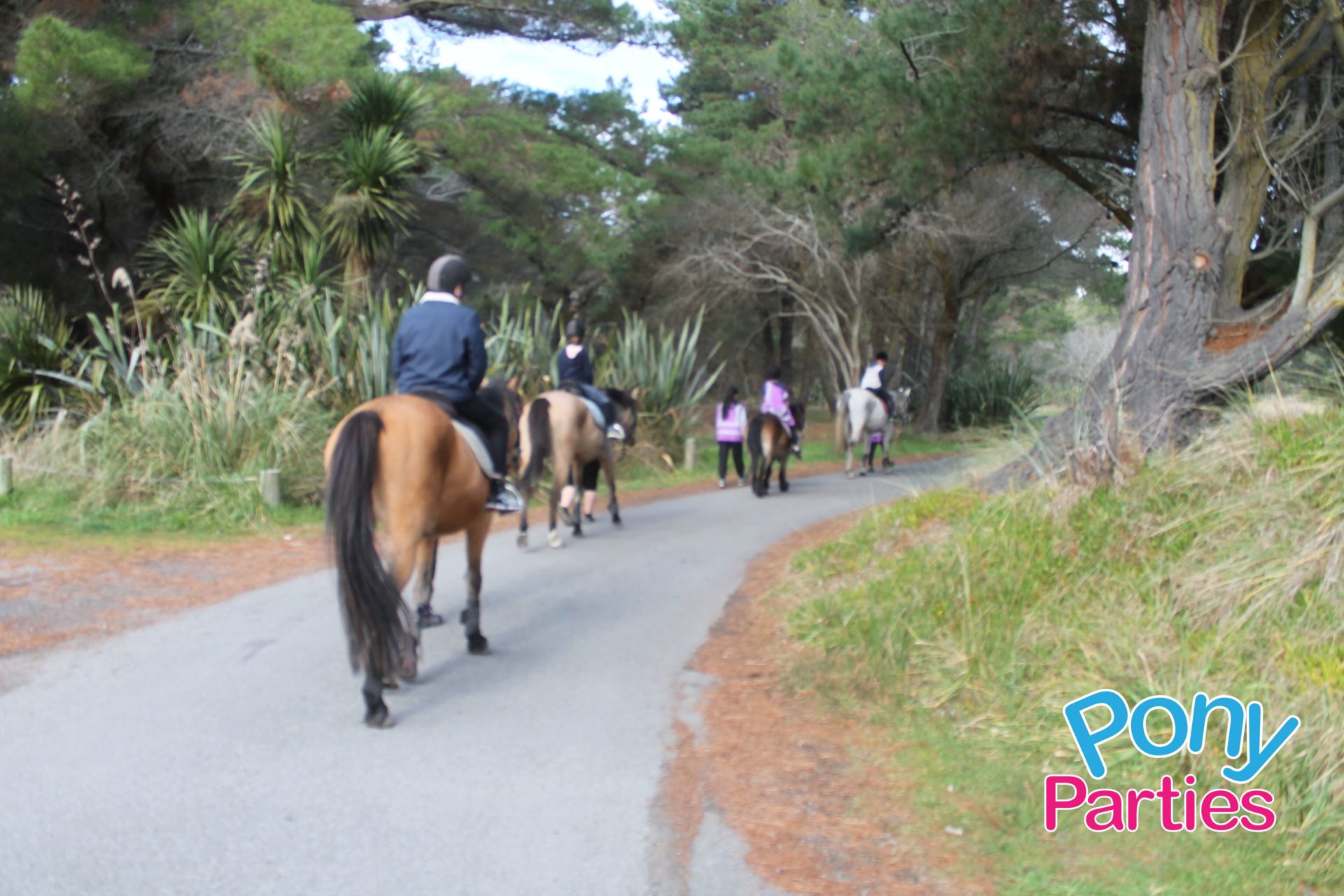 Image of Beach Horse/Pony Riding event
