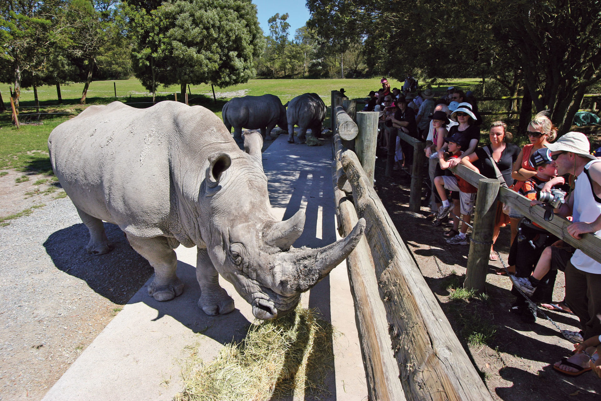 Image of Orana Wildlife Park – Kids Visit for Free event