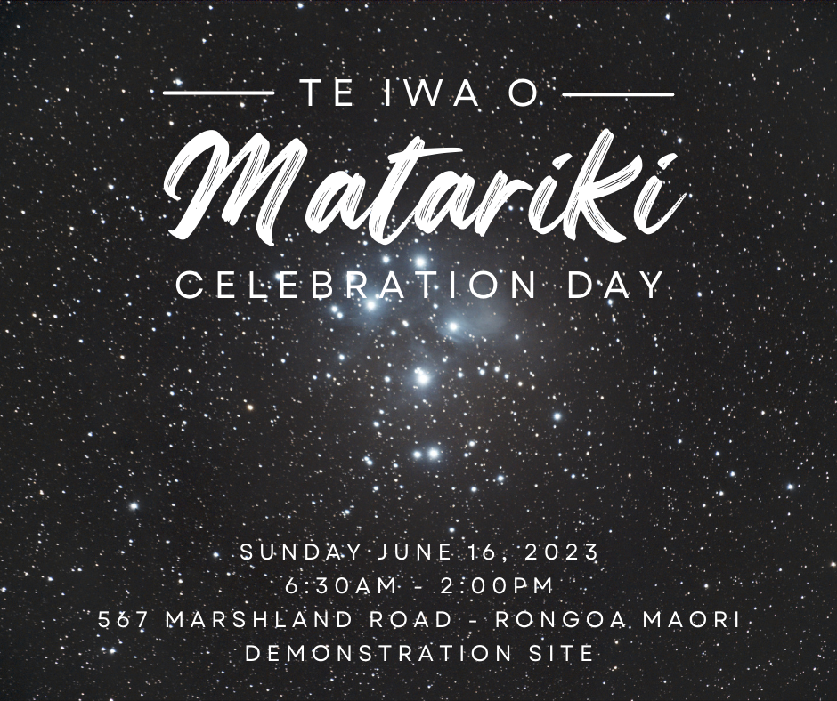 Image of Matariki Celebrations event