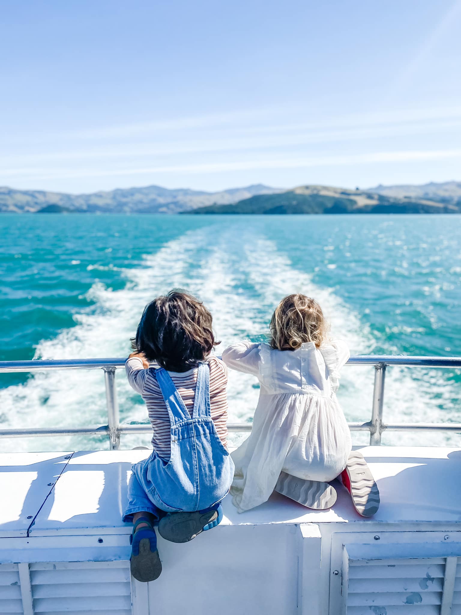 Image of 2 Kids Cruise Free in Akaroa with Black Cat Cruises event